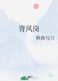 背风岗封面