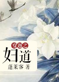 穿越之妇道封面