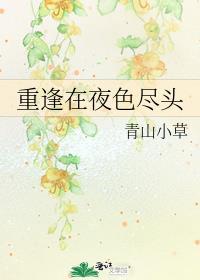 重逢在夜色尽头封面