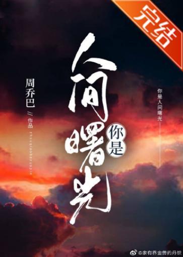 你是人间曙光封面