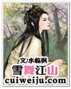 雪舞江山封面