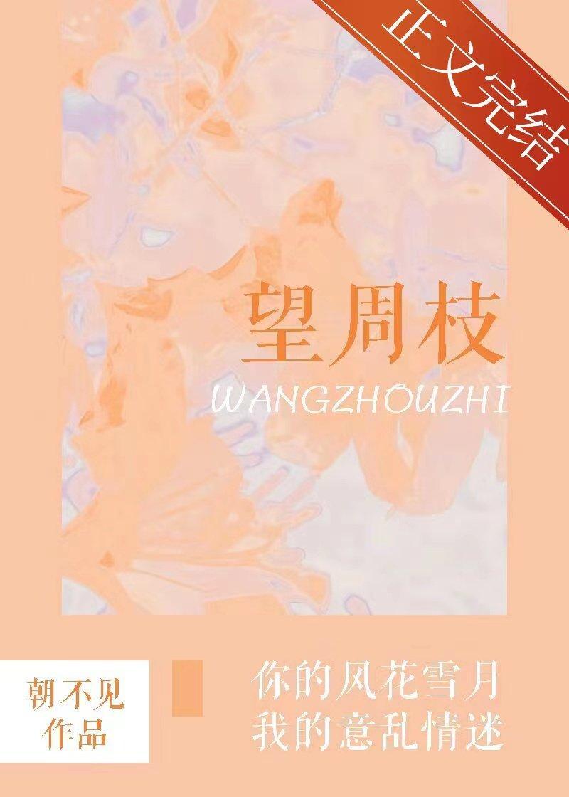 揽枝封面
