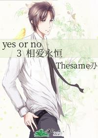 yes or no 3&nbsp;&nbsp;相爱永恒封面