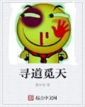 寻道觅天封面