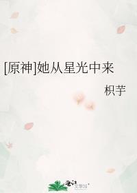 [原神]她从星光中来封面