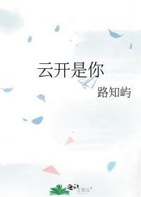 云开是你封面