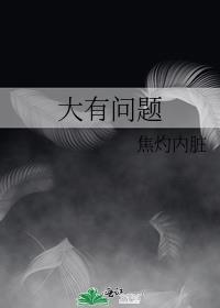 大有问题封面