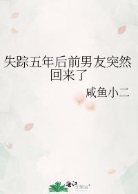 失踪五年后前男友突然回来了封面