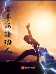 古拳法接班人封面
