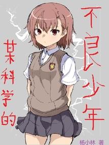 某科学的少年封面