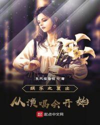 娱乐之复出从演唱会开始封面