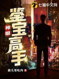 神眼鉴宝高手陆辰封面