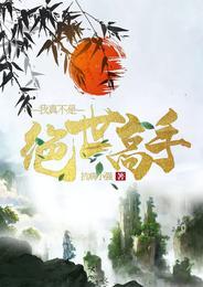 我真不是绝世高手封面