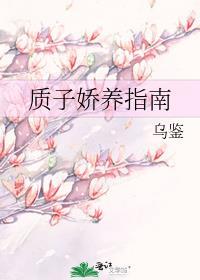 质子娇养指南封面