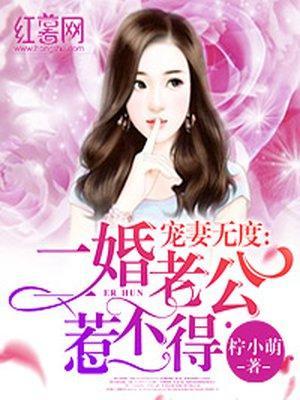 宠妻无度：二婚老公惹不得封面