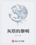 灰塔的黎明封面