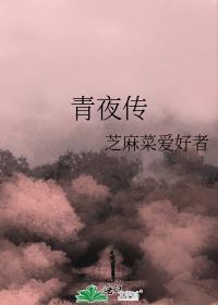 青夜传封面