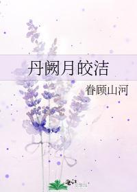 丹阙月皎洁封面