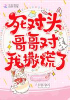 死对头哥哥对我撒谎了封面