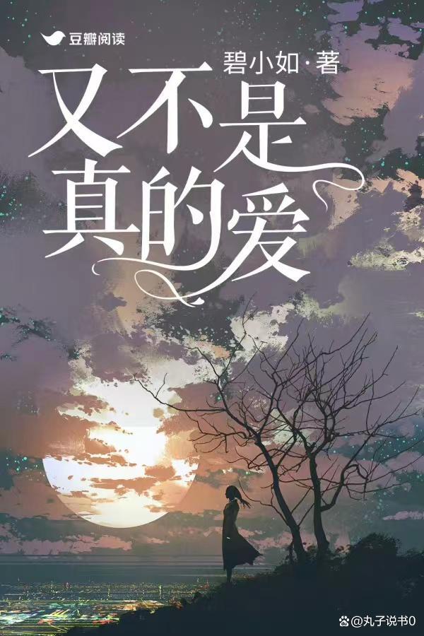 又不是真的爱封面
