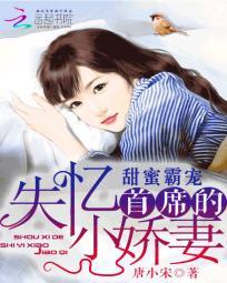 甜蜜霸宠：首席的失忆小娇妻封面