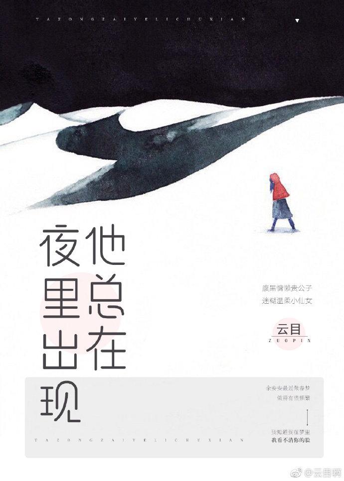 他总在夜里出现封面