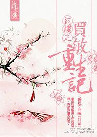 红楼之贾敏重生记封面