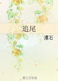 追尾(校对版+番外)封面