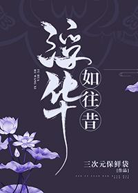 [香蜜＋陈情令]浮华如往昔封面