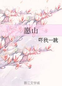 愿山封面