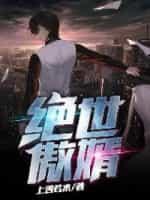 绝世傲婿封面