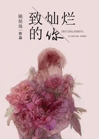 致灿烂的你封面