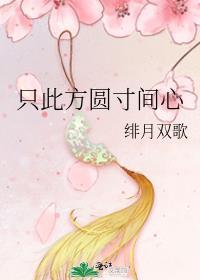 只此方圆寸间心封面