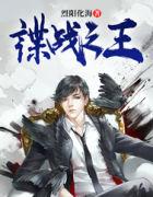 谍战之王封面