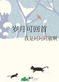 岁月可回首封面