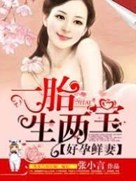 好孕鲜妻一胎生两宝封面