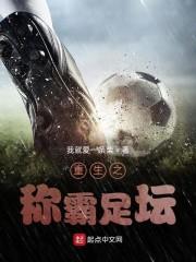 重生之称霸足坛封面