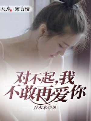 对不起，我不敢再爱你封面