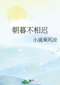 朝暮不相迟封面
