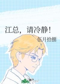 江总，请冷静！封面