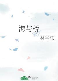 海与桥封面