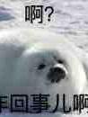 废灵根同时舔几个修真大佬后翻车封面