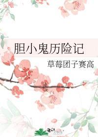 胆小鬼历险记封面