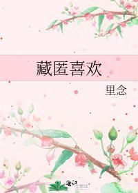 藏匿喜欢封面