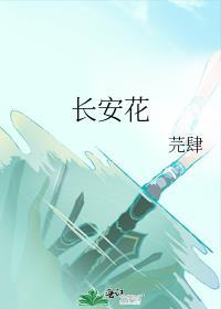 长安花封面