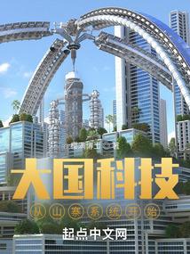 大国科技从山寨系统开始封面