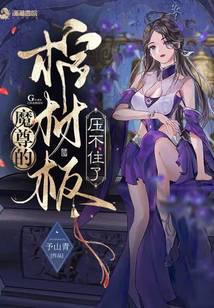 魔尊的棺材板压不住了封面