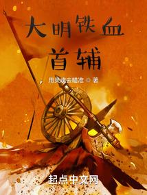 大明铁血首辅封面