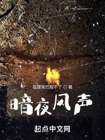 暗夜风声封面