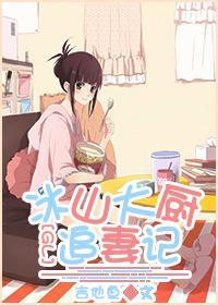 冰山大厨追妻记GL封面